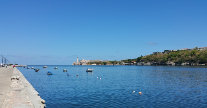 Reserva natural de Tiscornia: ecosistema natural en la bahía de La Habana